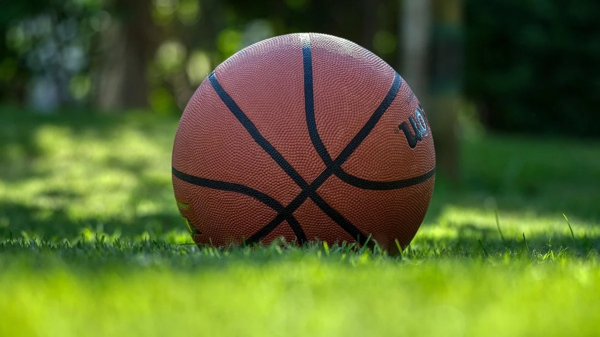 NBA赛季前30预测复盘:尼克斯冲冠与新秀表现